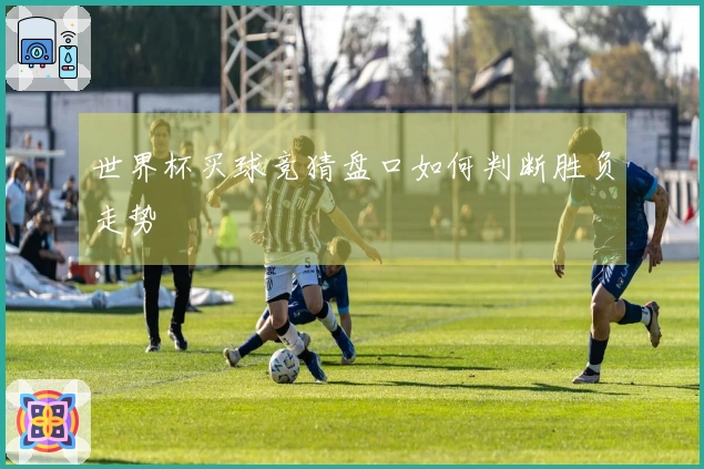 世界杯买球竞猜盘口如何判断胜负走势